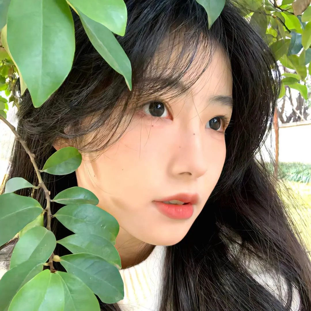 曲象丛生